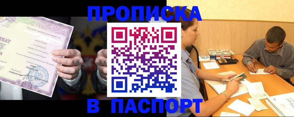 где прописаться в Кингисеппе